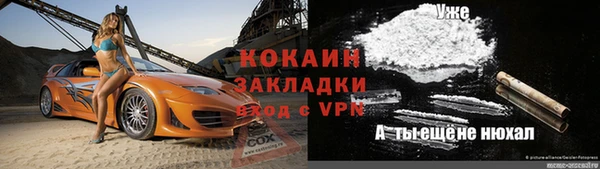 хмурый Верея