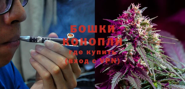 хмурый Верея