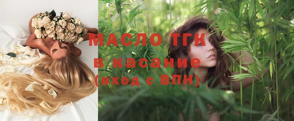 хмурый Верея