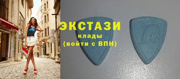 хмурый Верея