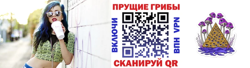 Галлюциногенные грибы Psilocybe  Вышний Волочёк 